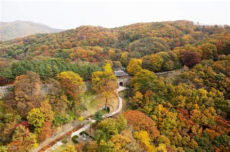 경기도 당일치기 놀러갈만한곳: 시간을 초월한 여행의 시작